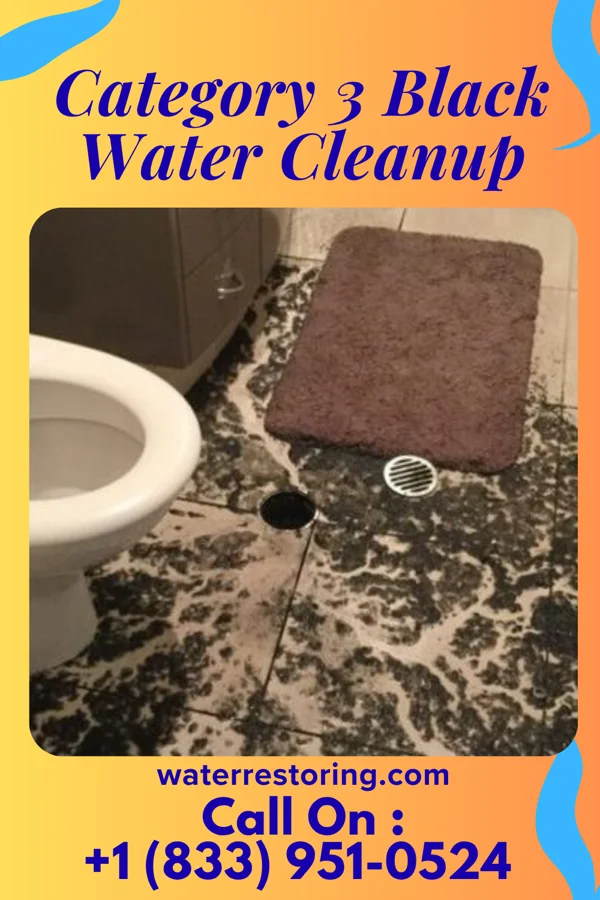 Category 3 Black Water Cleanup in Tuscola, TX