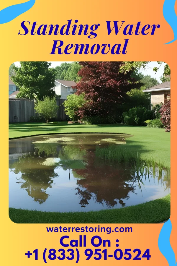 Standing Water Removal in Tuscola, TX